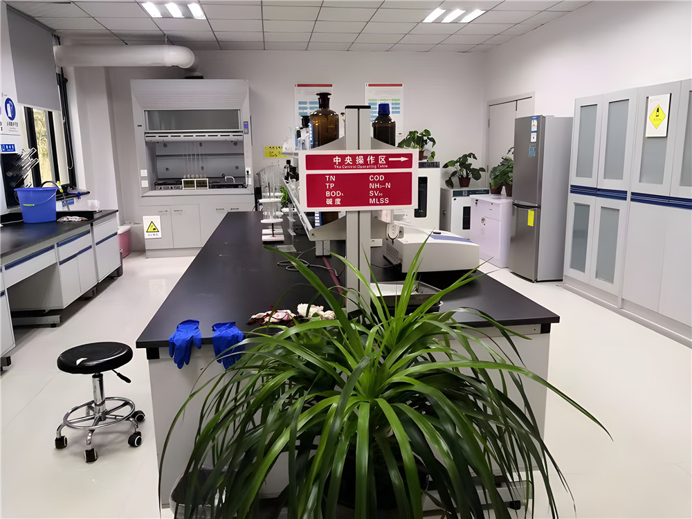 步履堅定，共繪高質(zhì)量發(fā)展新篇章