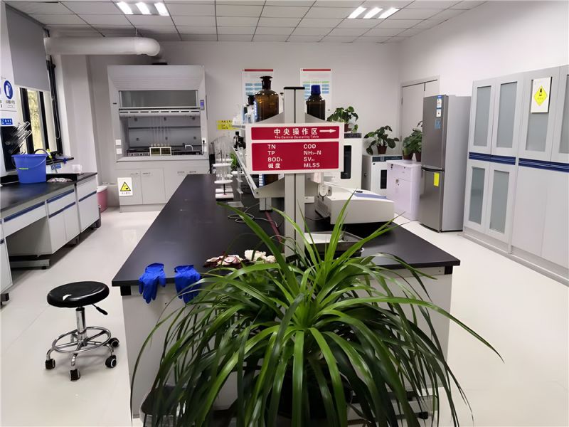 步履堅定，共繪高質(zhì)量發(fā)展新篇章