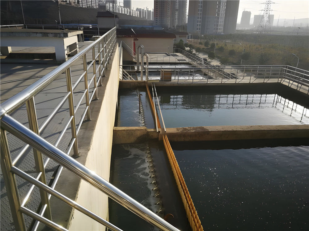 復(fù)合碳源具有哪些重要作用？